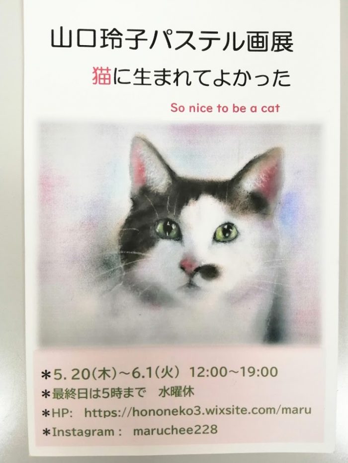 汽車に乗って虹を渡る子猫   パステル画 汽車に乗って虹を渡る子猫 パステル画